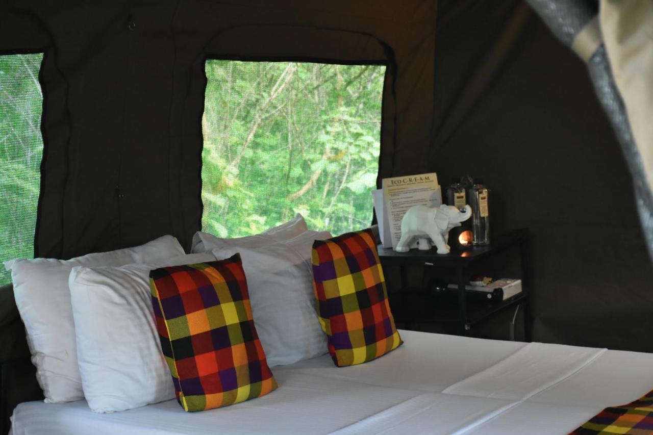 Campingplatz Big Game - By Eco Team