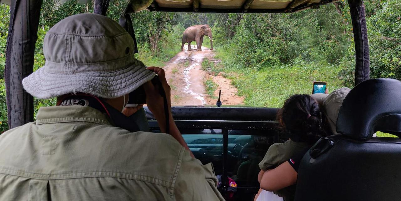 Big Game - By Eco Team Campingplatz Udawalawe
