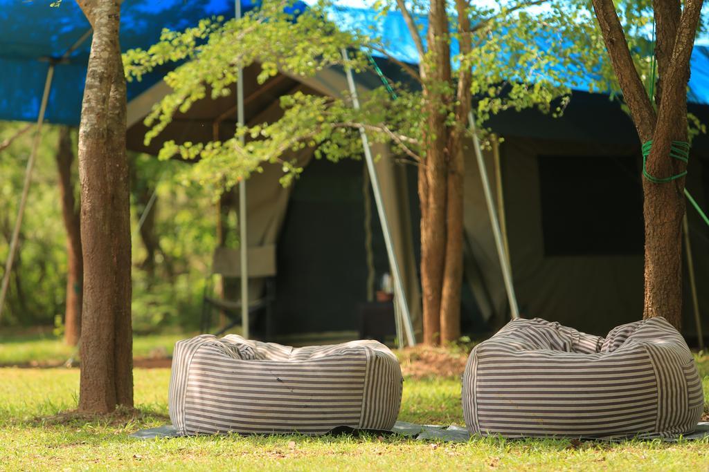 Campingplatz Big Game - By Eco Team 3*