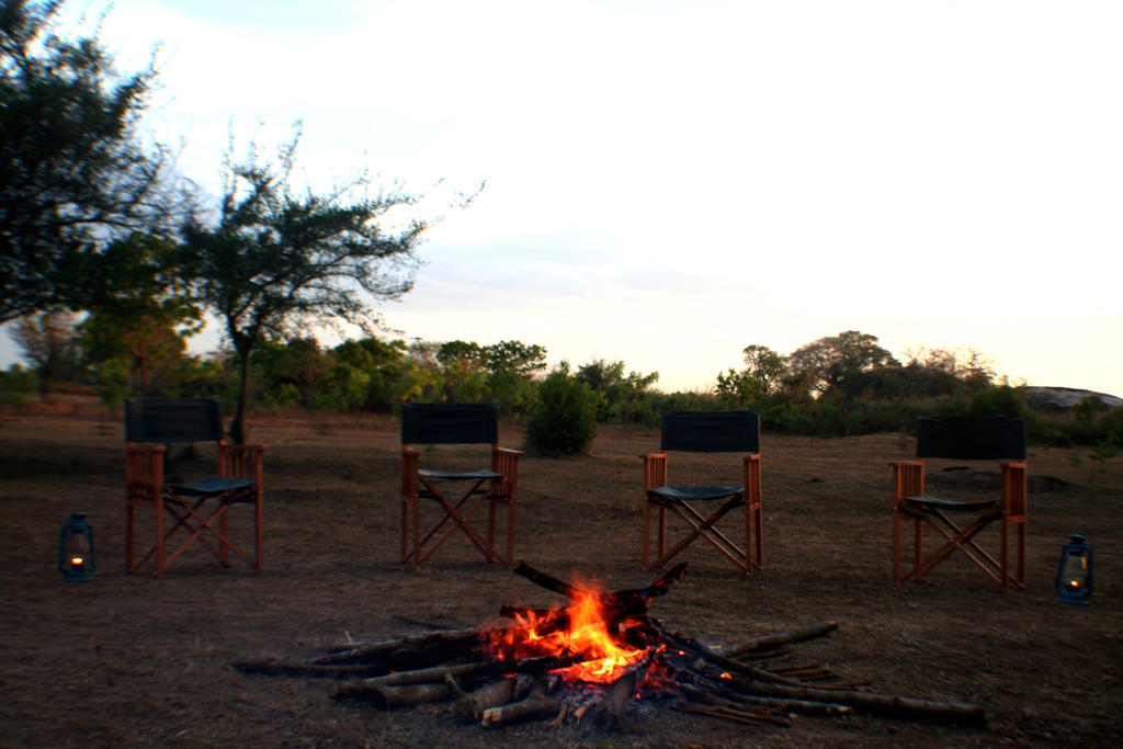 Campingplatz Big Game - By Eco Team
