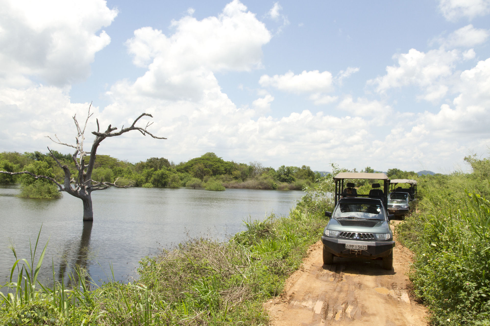 Big Game - By Eco Team Campingplatz Udawalawe