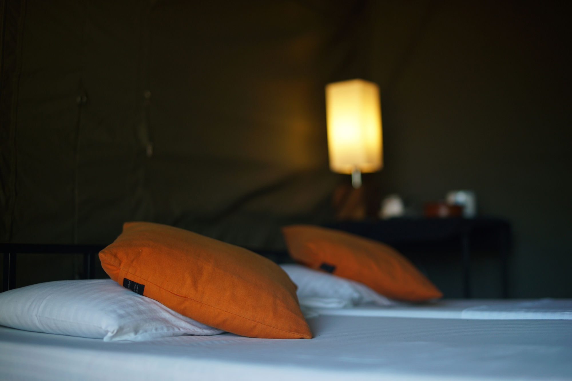 Campingplatz Big Game - By Eco Team 3*