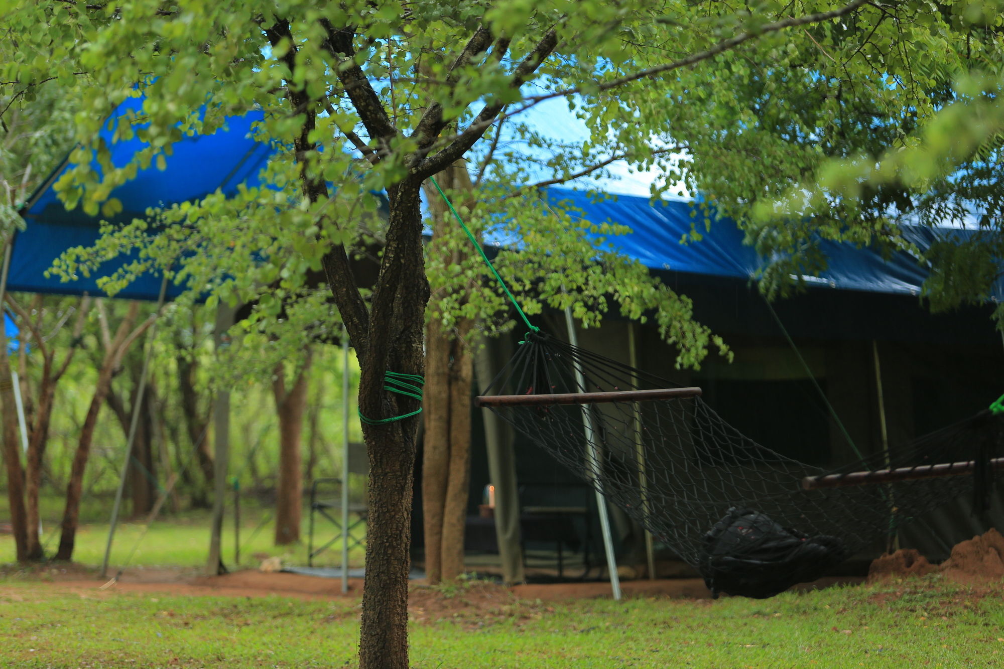 Campingplatz Big Game - By Eco Team