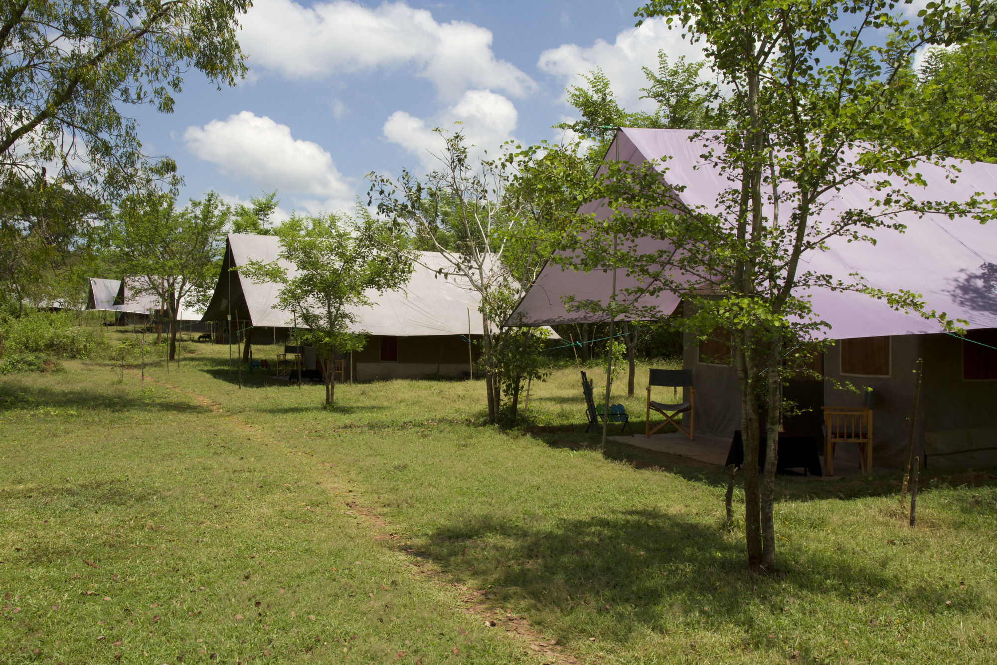 Big Game - By Eco Team 3* Udawalawe