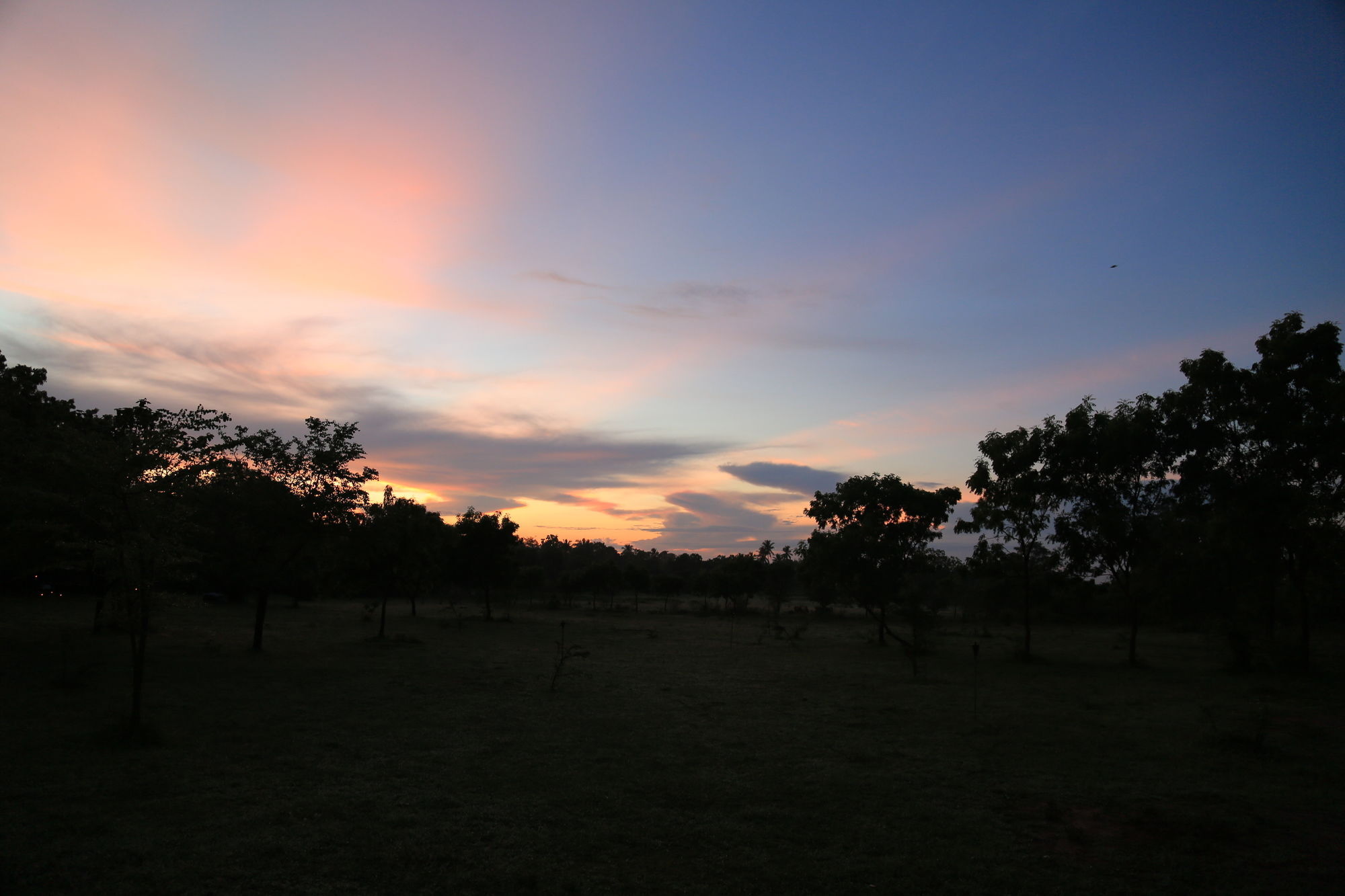 Campingplatz Big Game - By Eco Team Udawalawe