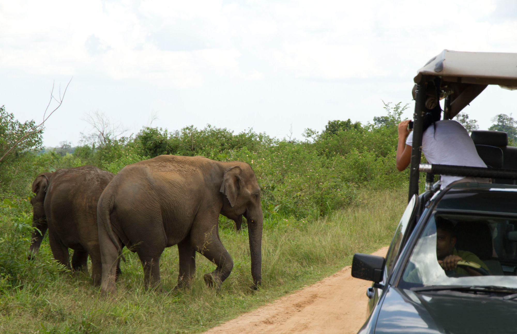 Big Game - By Eco Team Campingplatz 3*